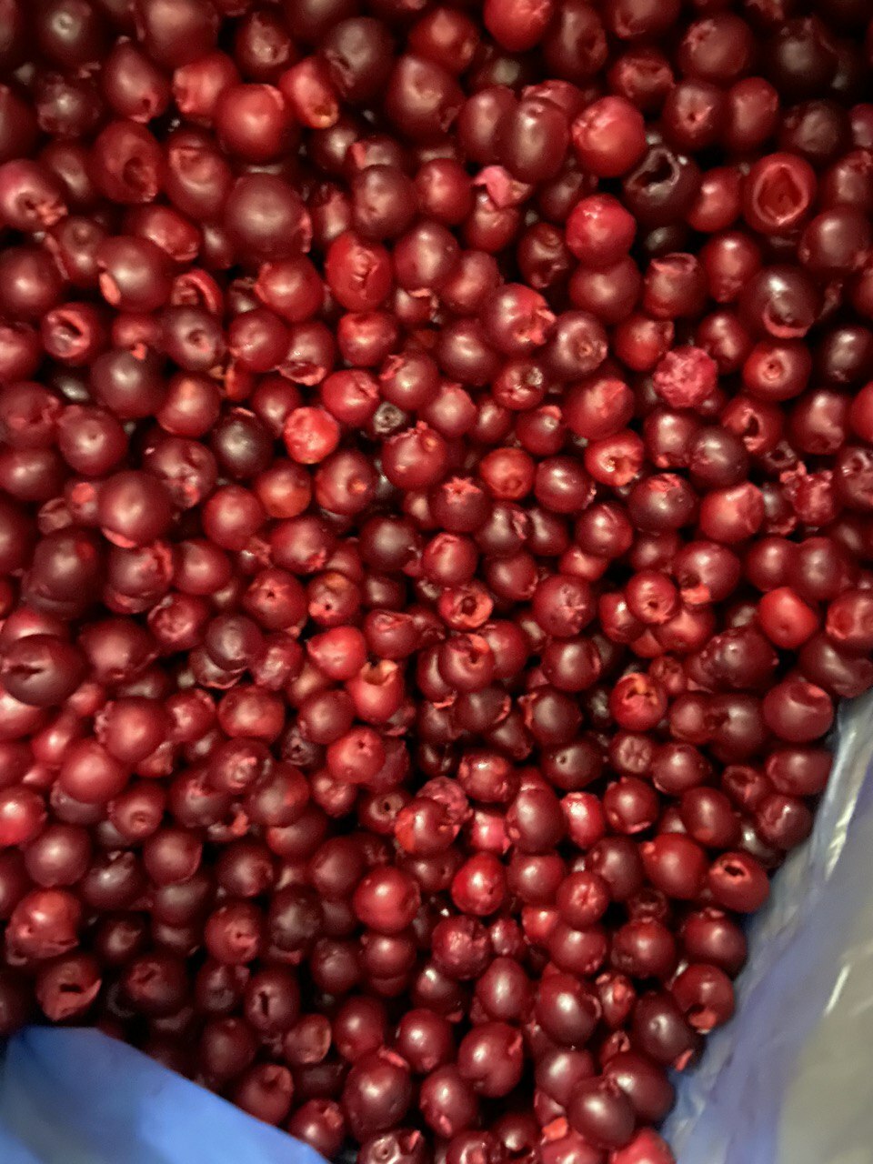 Frozen organic&nbsp;pitted cherries