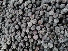 Frozen organic wild blueberries