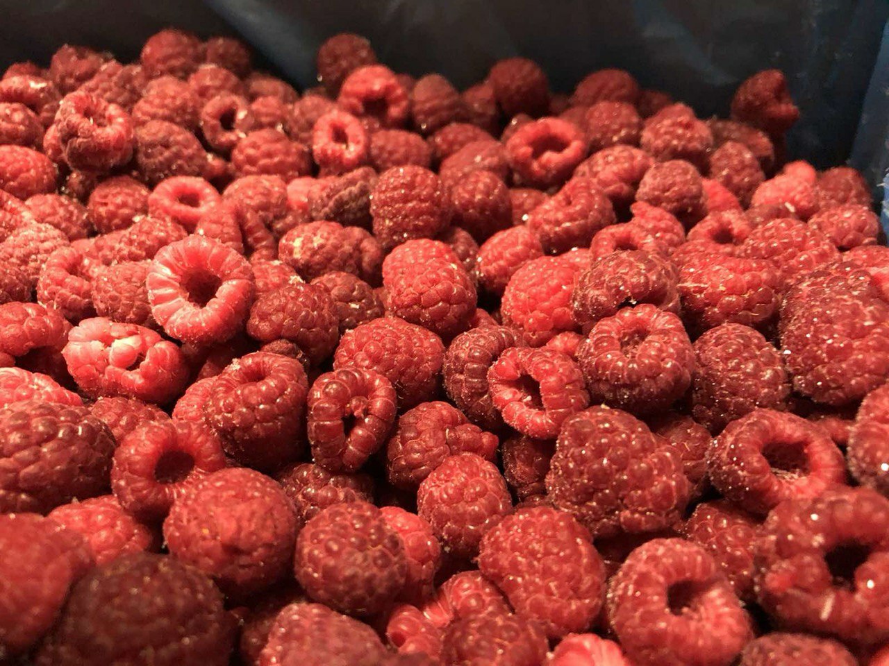 Frozen organic Raspberry&nbsp;